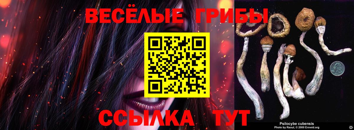 Галлюциногенные грибы мухоморы Новотроицк