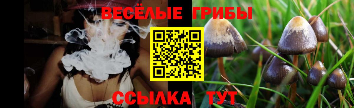 Новотроицк  Псилоцибиновые грибы Psilocybe  Галлюциногенные грибы прущие грибы  Вход с VPN 